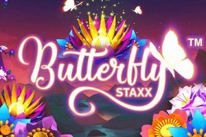 Butterfly Staxx