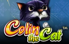 Colin the Cat
