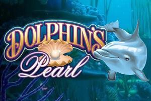 Dolphins Pearl Classic