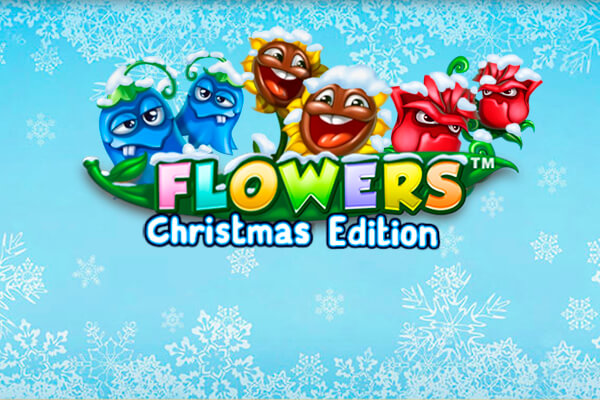 Flowers Christmas Edition