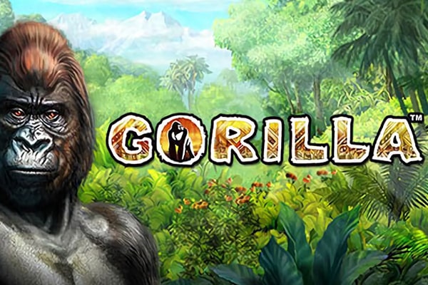 Gorilla