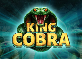 King Cobra