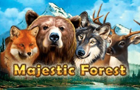 Majestic Forest