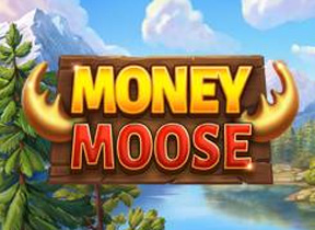 Money Moose