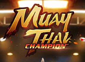 Muay Thai Champion