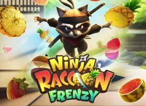 Ninja Raccoon Frenzy