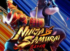 Ninja vs Samurai