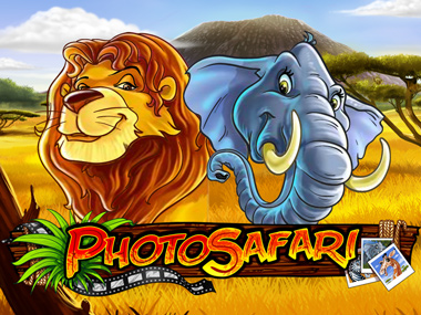Photo Safari