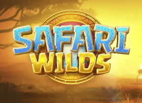 Safari Wilds