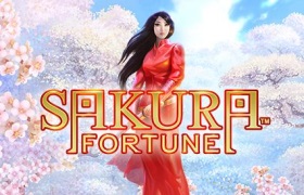 Sakura Fortune