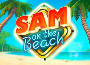 Sam on the Beach