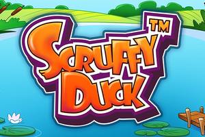 Scruffy Duck