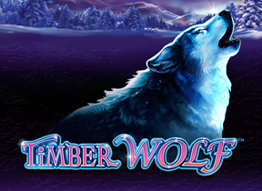 Timber Wolf