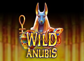 Wild Anubis