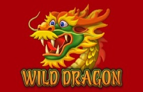 Wild Dragon