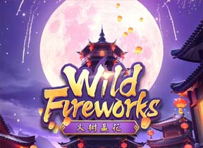 Wild Fireworks