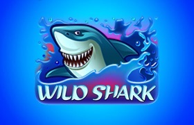Wild Shark