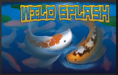 Wild Splash