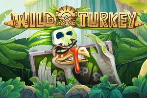 Wild Turkey